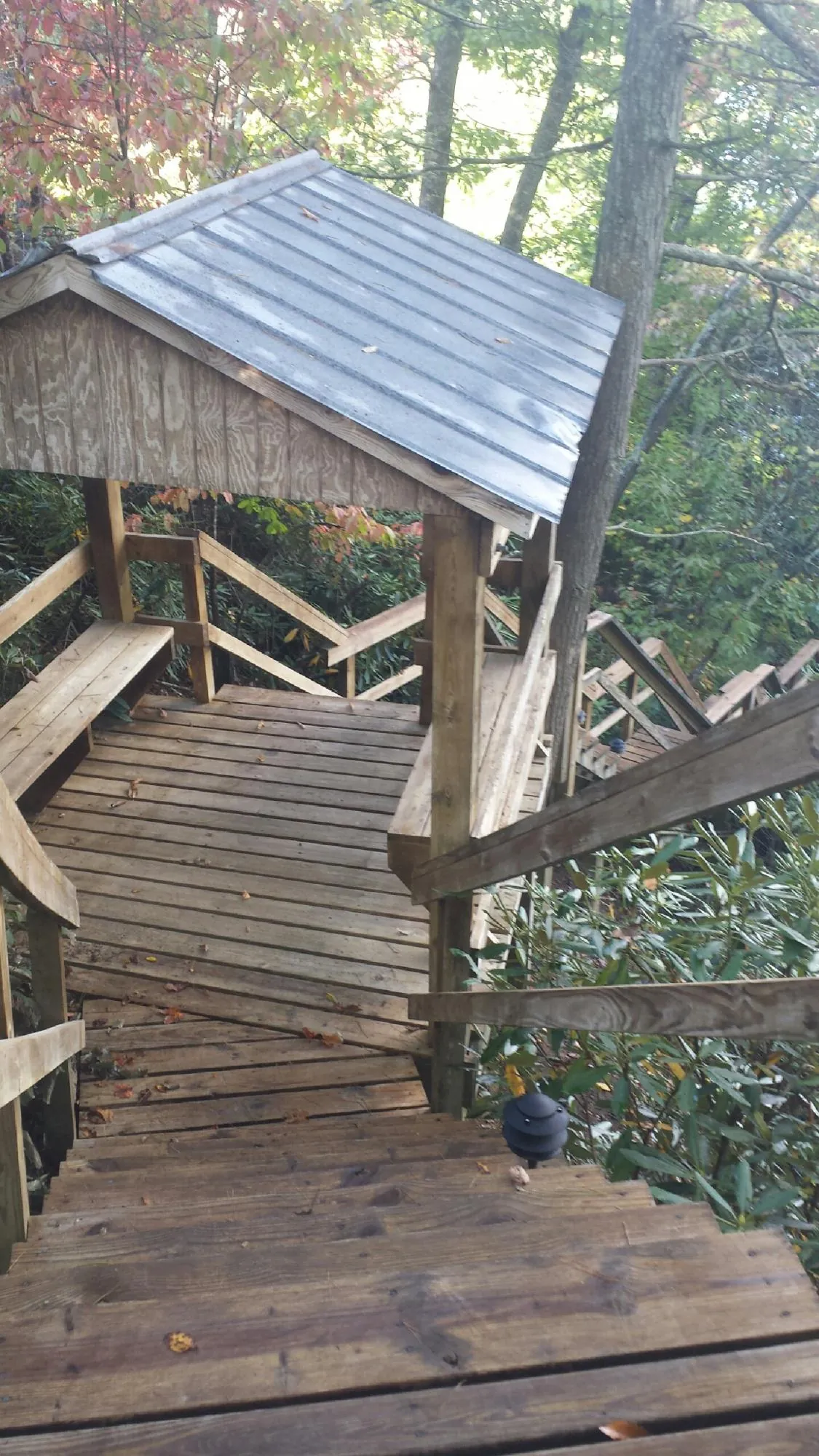 Metal roofed shelter over wooden steps on a wooded walkway — Skylight Repair & Installation work by our crew in Mooreville